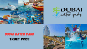 Read more about the article Methods to Gain a Discount on the Dubai Water Park Tickets