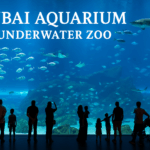 Aquarium and Underwater Zoo Experience – What not to miss?